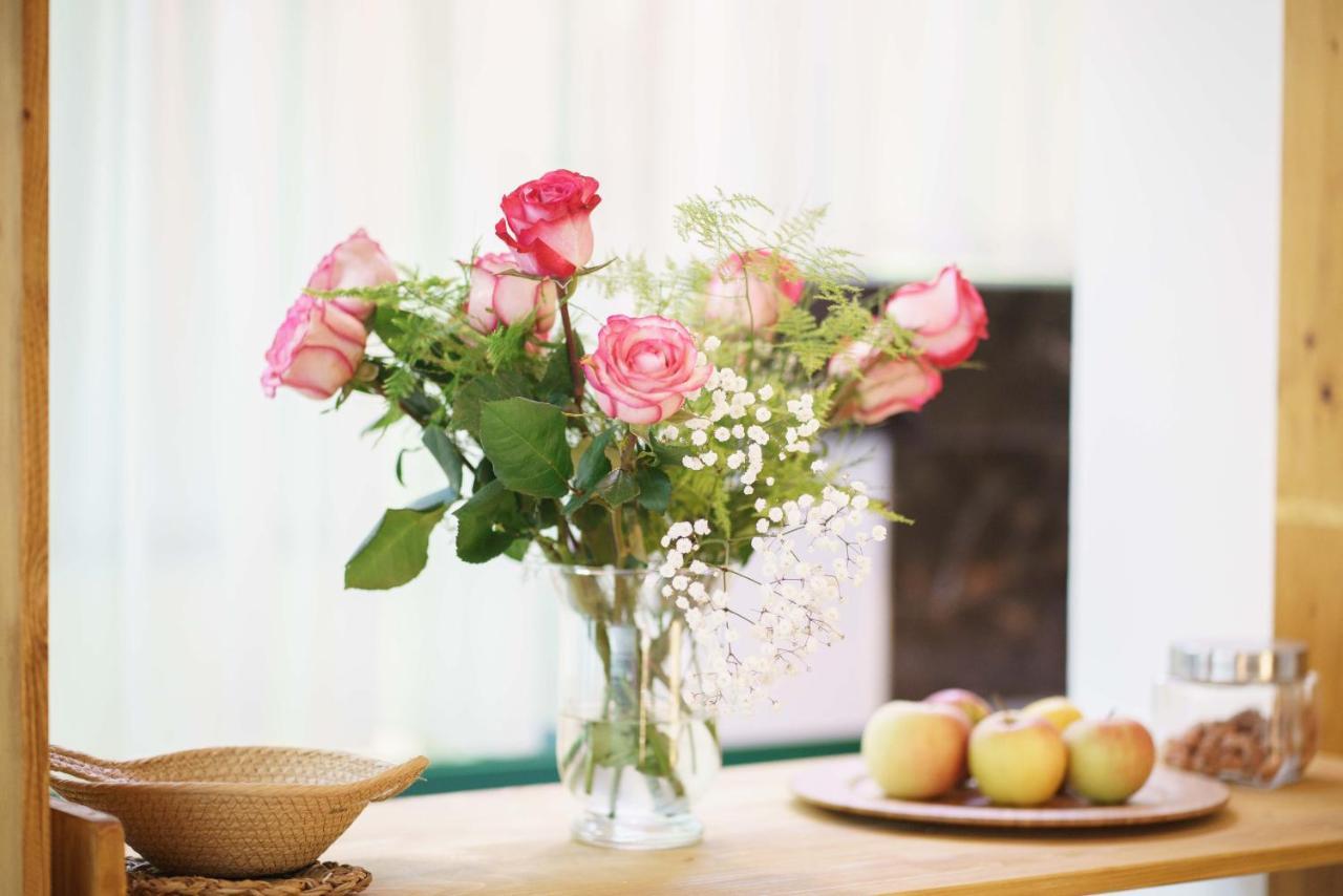 Hortensia Σίμπενικ Εξωτερικό φωτογραφία